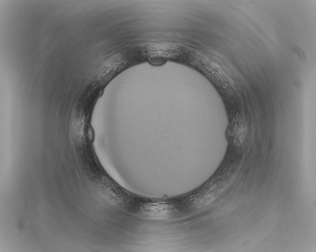 X0000115400219200912011212