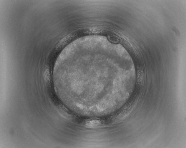 X0000115400220200912011212