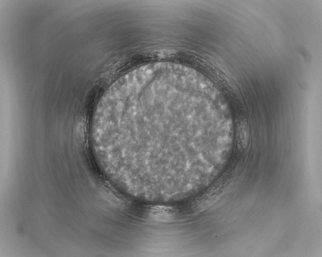 X0000115400222200912011212