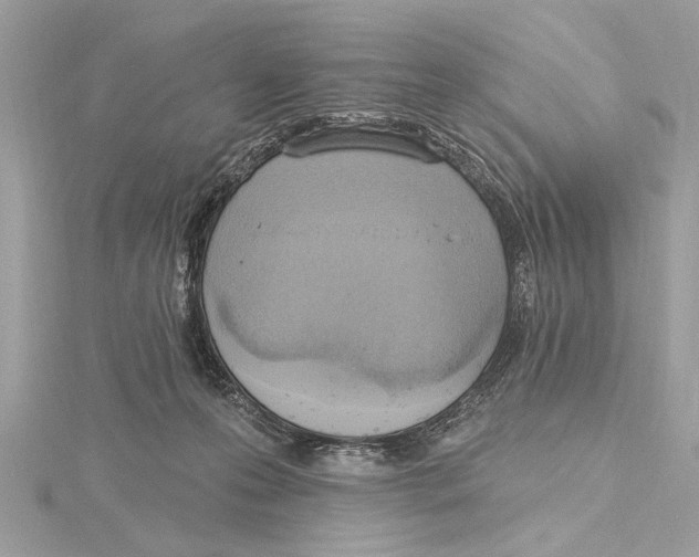 X0000115400223200912011211