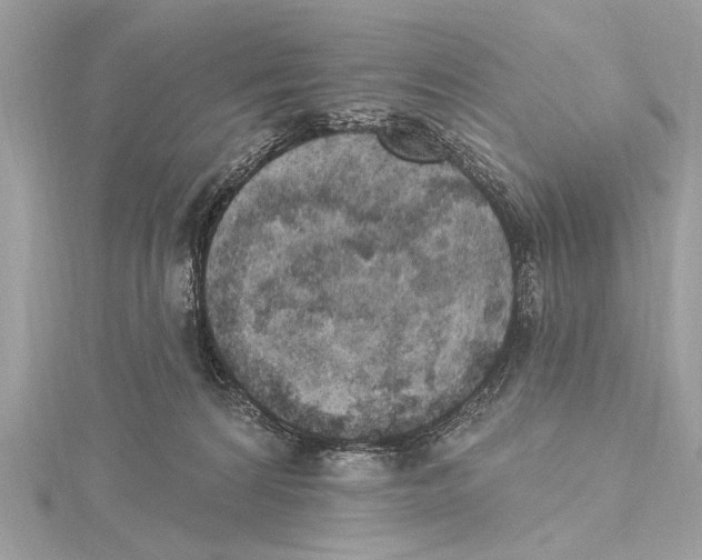 X0000115400224200912011211