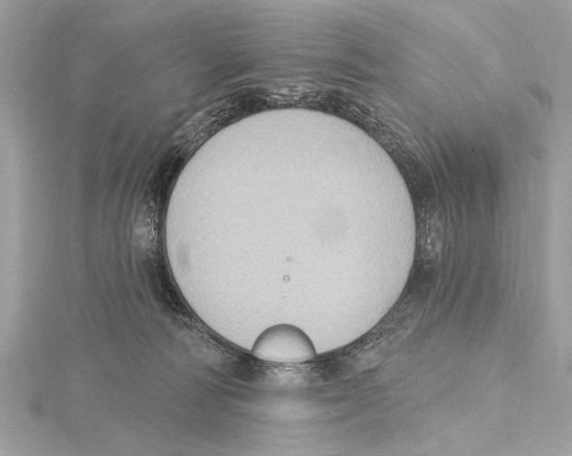 X0000115400226200912011211