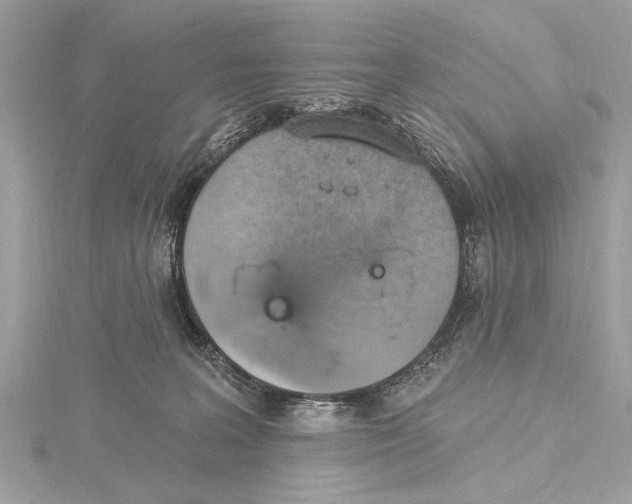 X0000115400227200912011211