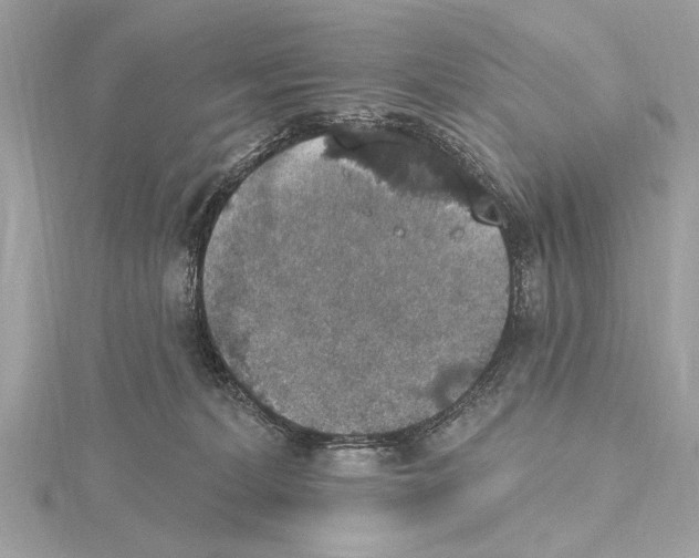 X0000115400228200912011211