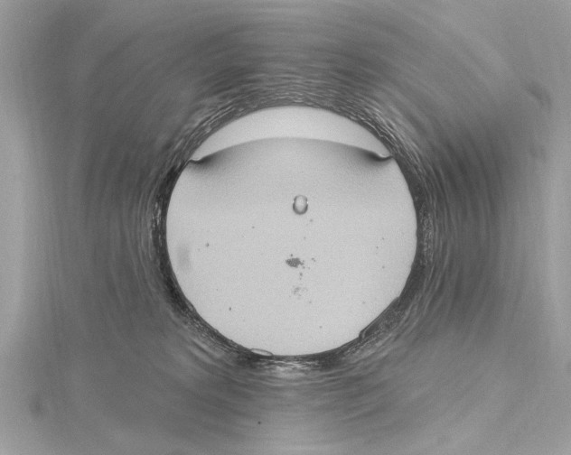 X0000115400229200912011211