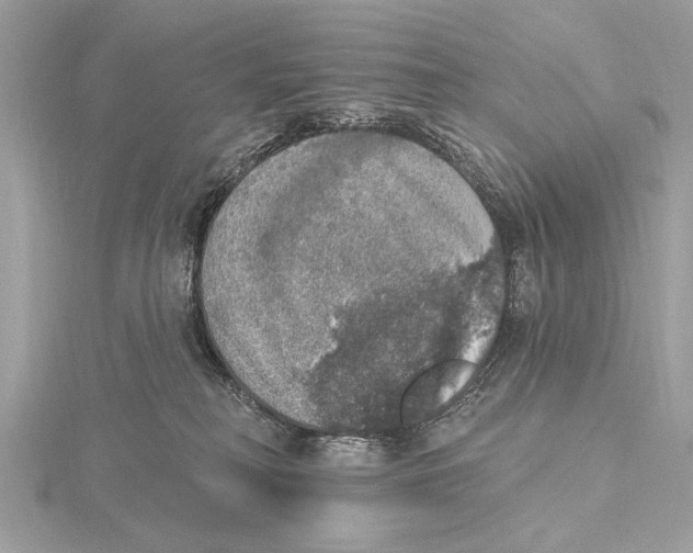 X0000115400230200912011211