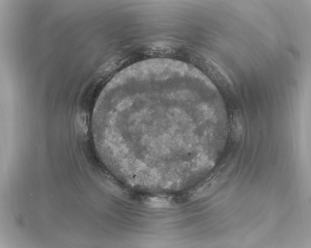 X0000115400232200912011211