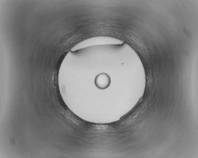 X0000115400233200912011211