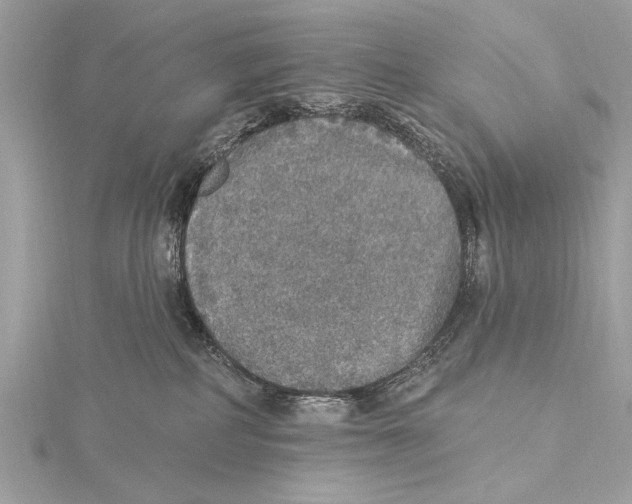 X0000115400234200912011211