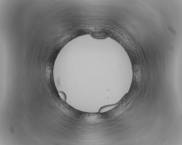 X0000115400235200912011211