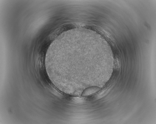 X0000115400238200912011211