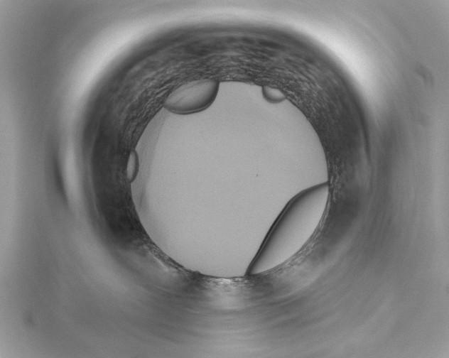 X0000115400239200912011211