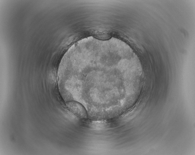 X0000115400240200912011211