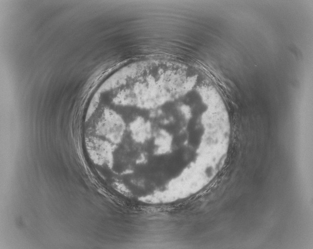 X0000115400241200912011211