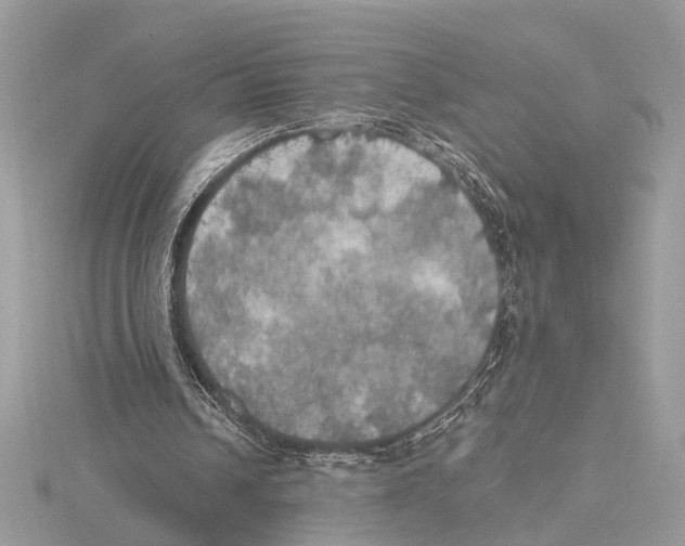 X0000115400242200912011211