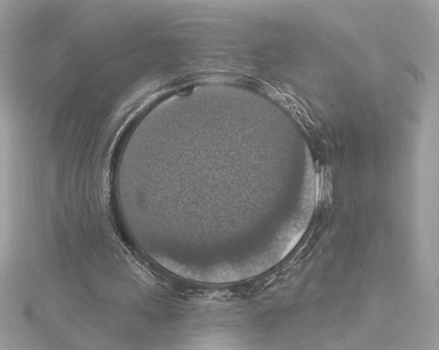 X0000115400243200912011211