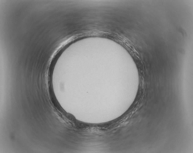 X0000115400244200912011211