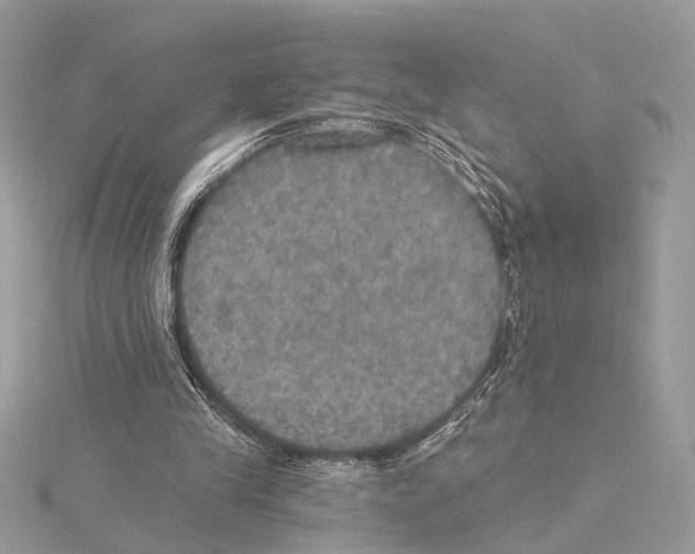 X0000115400245200912011211