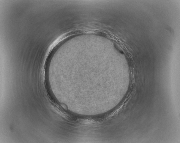 X0000115400246200912011211