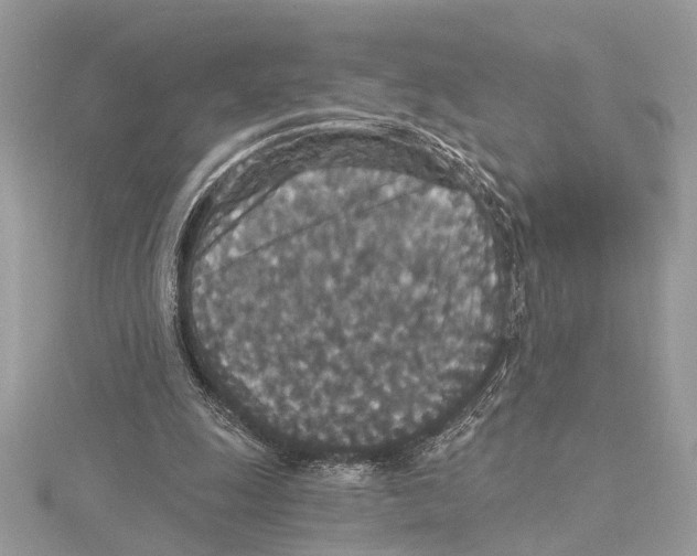 X0000115400247200912011211