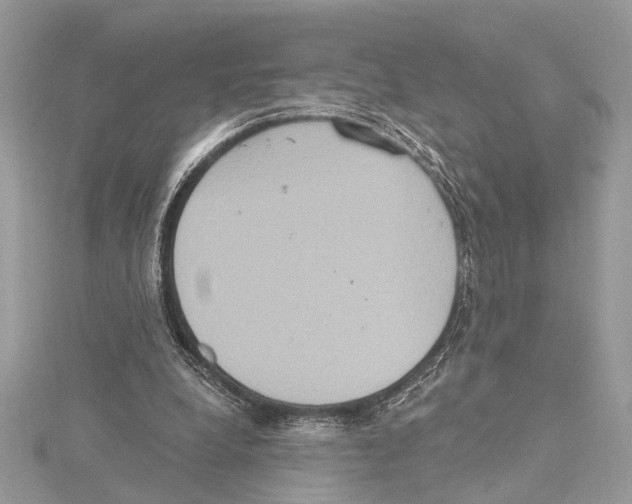 X0000115400248200912011211