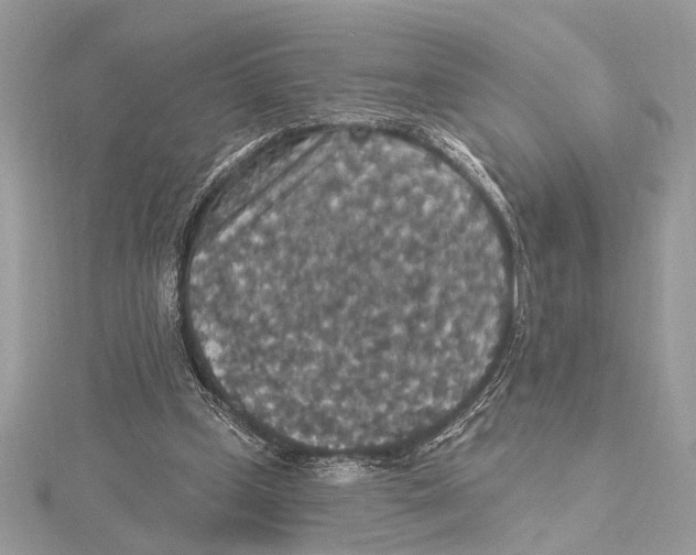 X0000115400249200912011211