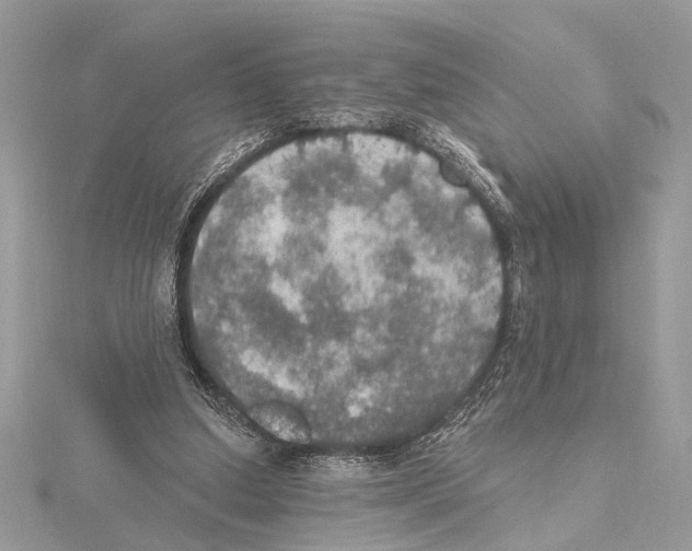 X0000115400250200912011211