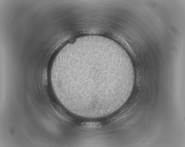 X0000115400251200912011211