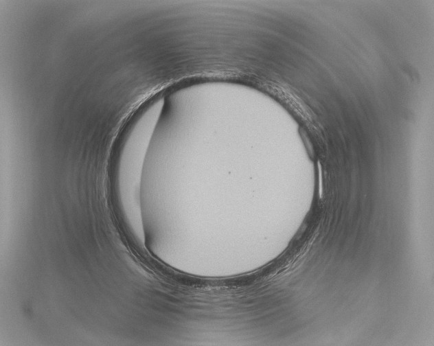 X0000115400252200912011211