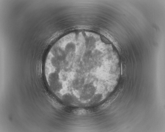 X0000115400253200912011211