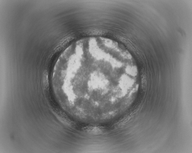 X0000115400254200912011211