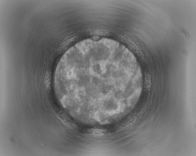 X0000115400255200912011211