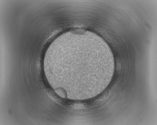 X0000115400256200912011211