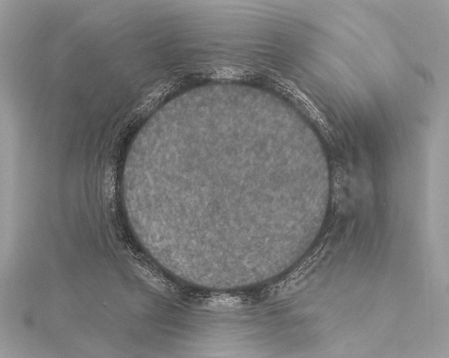 X0000115400257200912011211