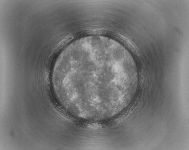 X0000115400258200912011211