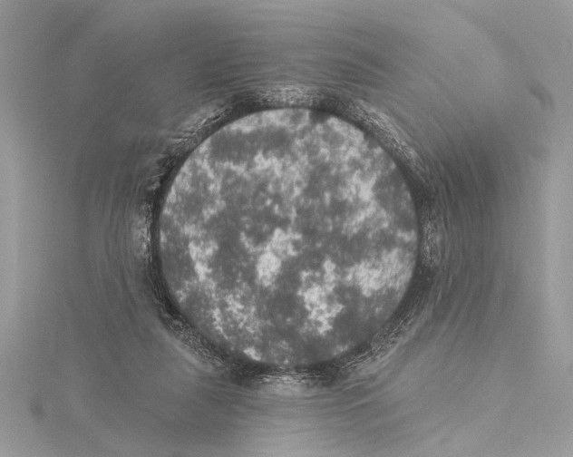 X0000115400259200912011211