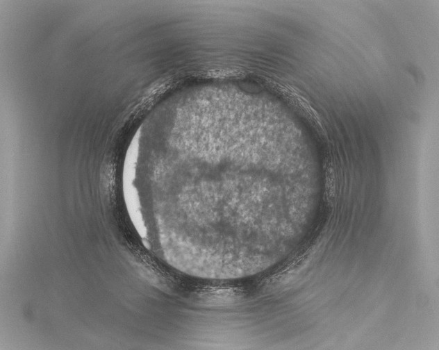 X0000115400260200912011211