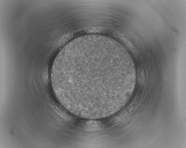 X0000115400261200912011211