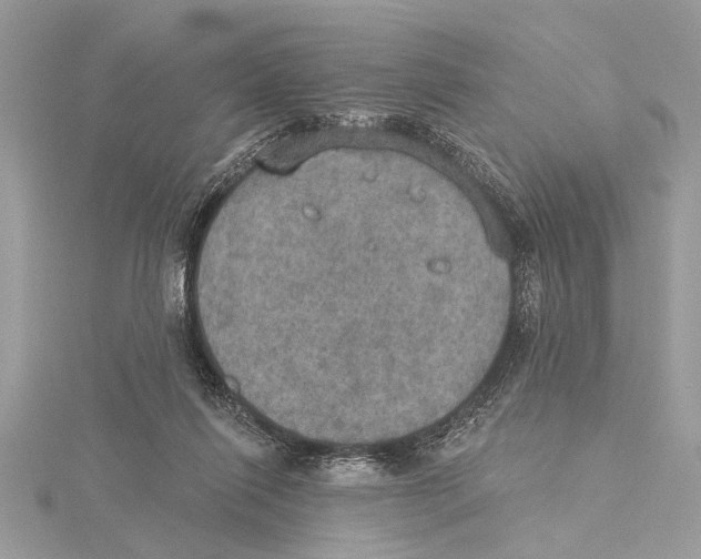 X0000115400262200912011211