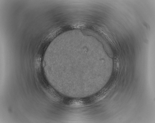 X0000115400263200912011211