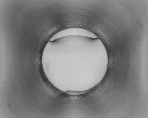 X0000115400264200912011211