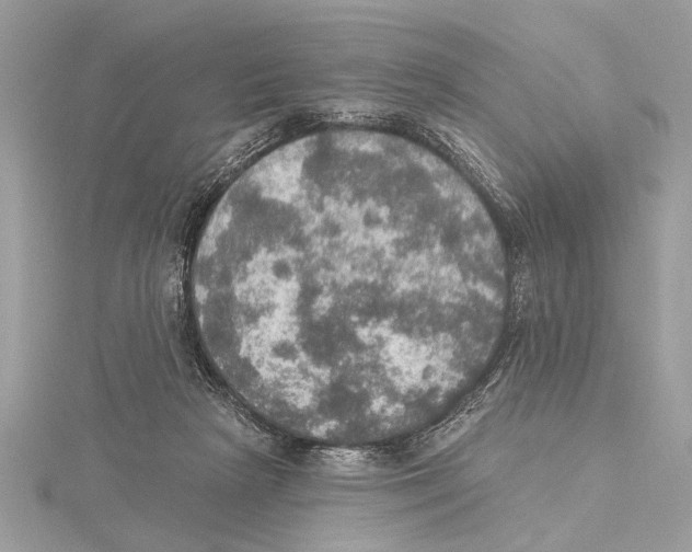 X0000115400265200912011211