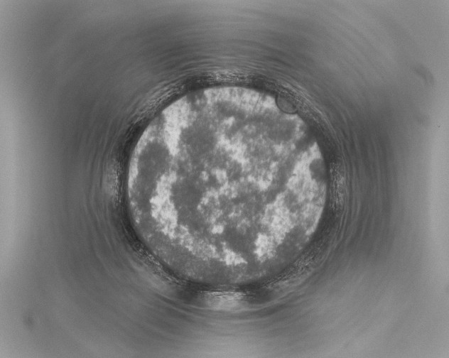 X0000115400266200912011211