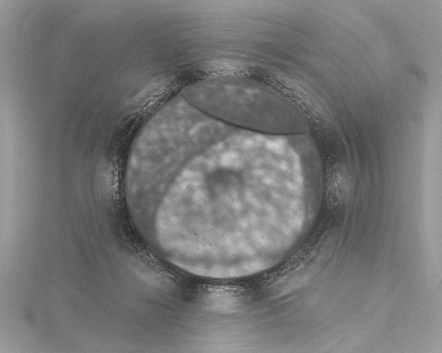 X0000115400268200912011211