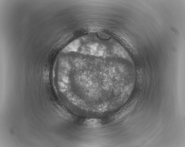 X0000115400269200912011211