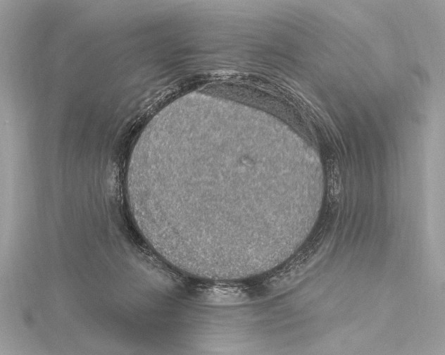 X0000115400270200912011211