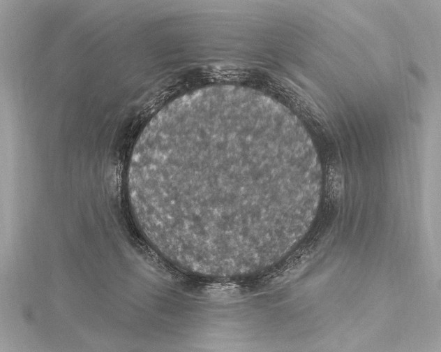 X0000115400271200912011211