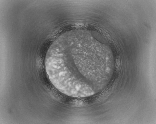 X0000115400272200912011211