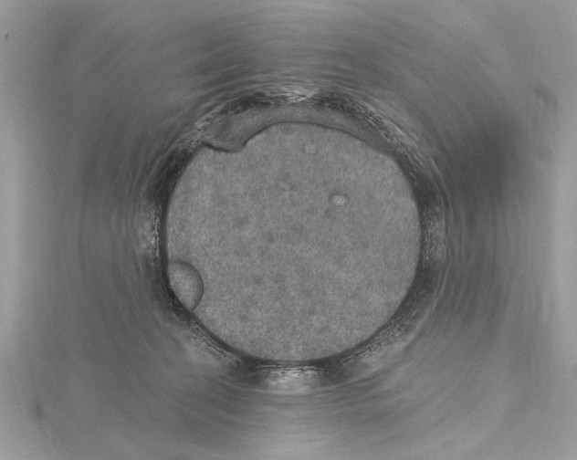 X0000115400274200912011211