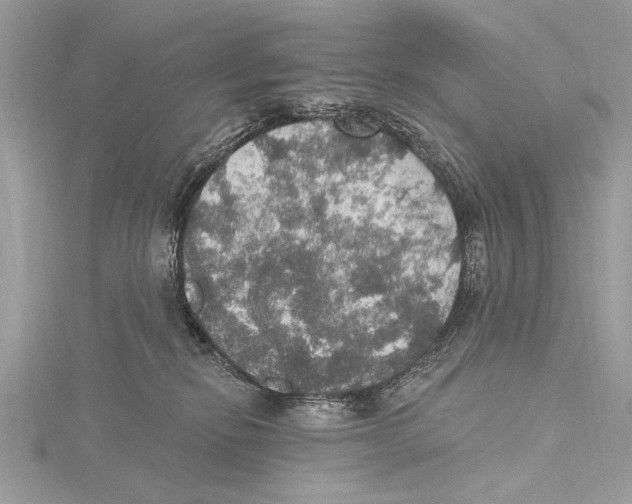 X0000115400278200912011211